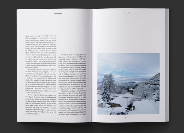 Fields & Stations Issue 4 Interior Pages